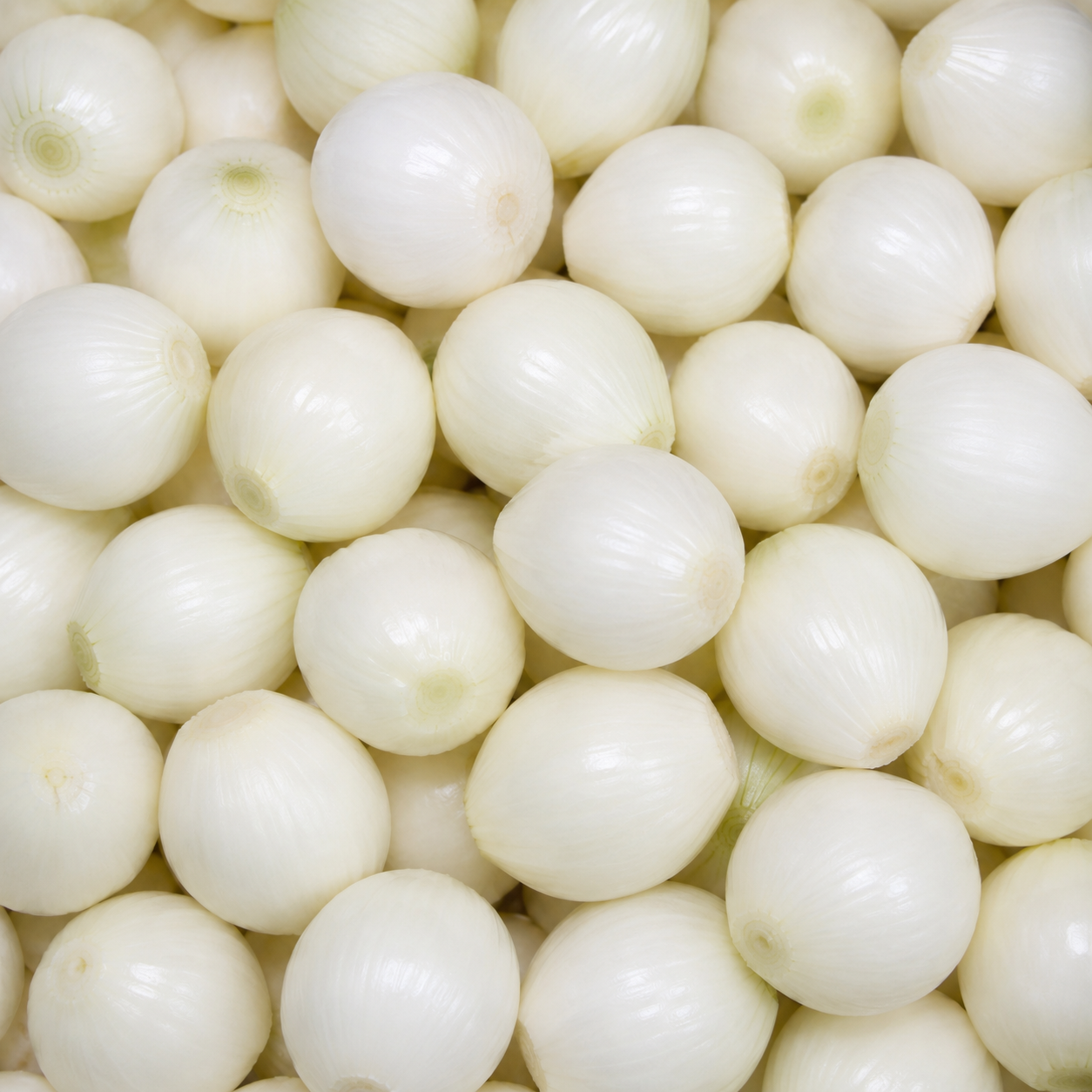 Onions Cleaned — prepared vegetable selection