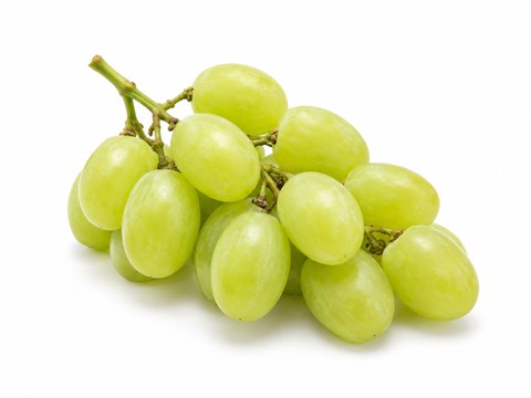 Grapes Cotton Candy — illustrative fruit image
