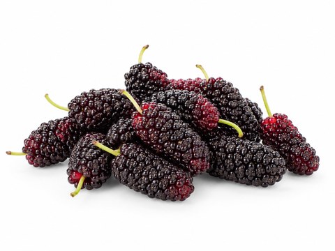 Mulberries — illustrative fruit image