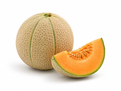 Spanspek — illustrative fruit image