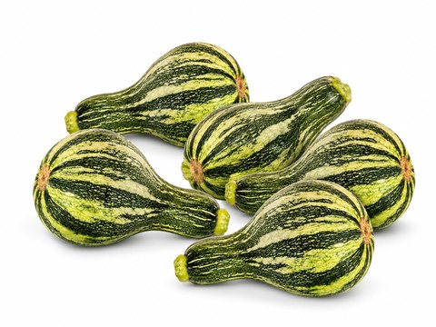 Striped green baby butternuts — illustrative vegetable image