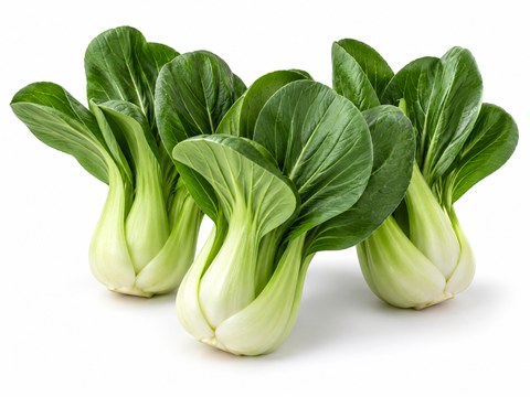 Baby Pak Choi — illustrative vegetable image