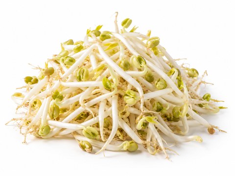 Bean Sprouts — illustrative vegetable image