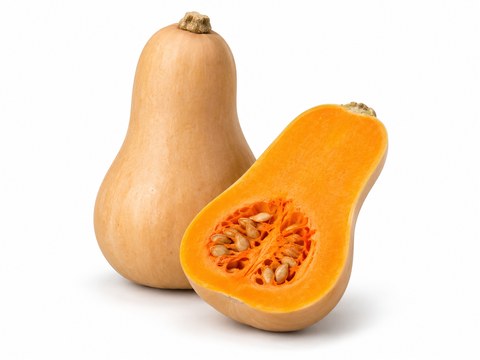 Butternut — illustrative vegetable image