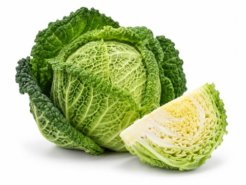 Cabbage Savoy — illustrative vegetable image