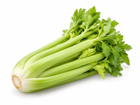 Celery — illustrative vegetable image