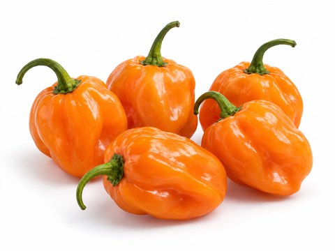 Chillies Habanero Orange — illustrative vegetable image