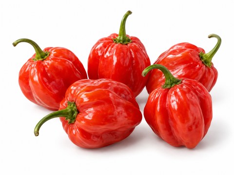 Chillies Habanero Red — illustrative vegetable image