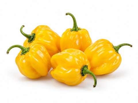 Chillies Habanero Yellow — illustrative vegetable image