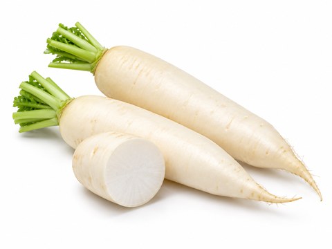 Daikon Radish — illustrative vegetable image