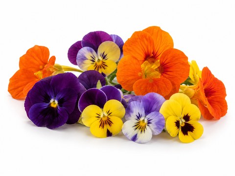 Edible Flowers — illustrative vegetable image