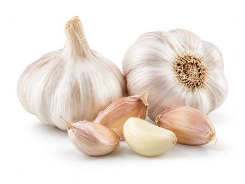 Garlic — illustrative vegetable image