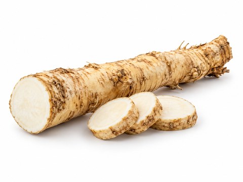 Horseradish — illustrative vegetable image