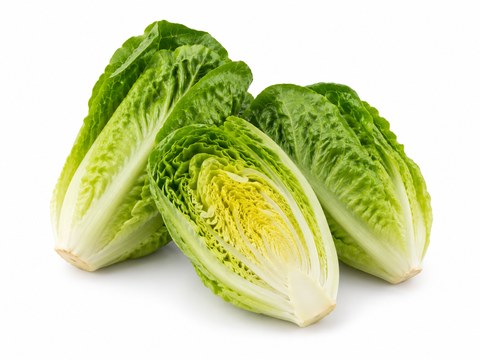 Lettuce Baby Gem — illustrative vegetable image