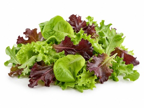 Lettuce Baby Leaf — illustrative vegetable image