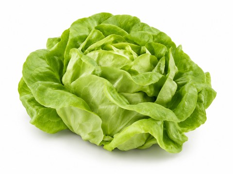 Lettuce Butter — illustrative vegetable image