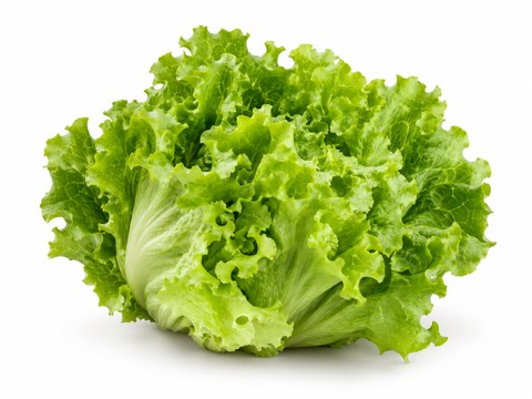 Lettuce Crisp — illustrative vegetable image