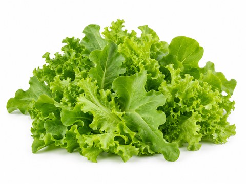 Lettuce Green Mix — illustrative vegetable image