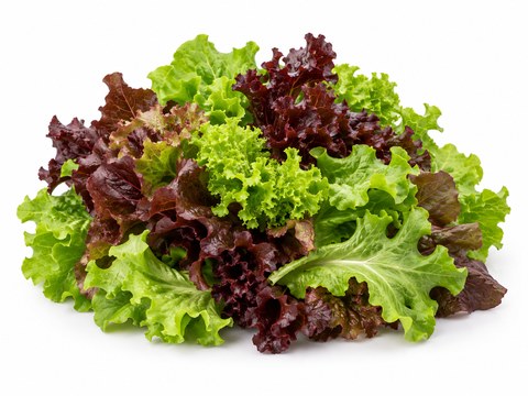 Lettuce Mixed — illustrative vegetable image