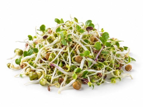 Mixed Sprouts — illustrative vegetable image