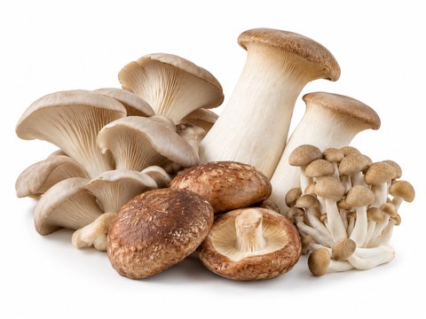 Mushrooms Exotic Mix — illustrative vegetable image