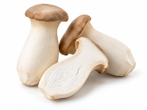 Mushrooms King Oyster — illustrative vegetable image
