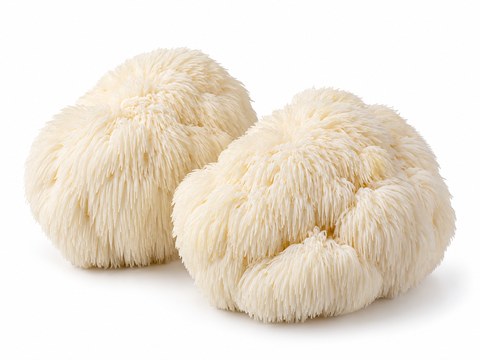 Mushrooms Lions Mane — illustrative vegetable image