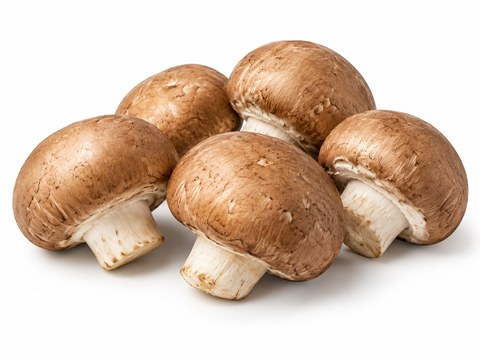 Mushrooms Portabellini — illustrative vegetable image