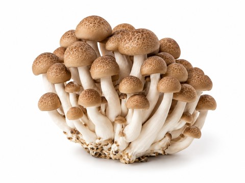 Mushrooms Shimeji Brown — illustrative vegetable image