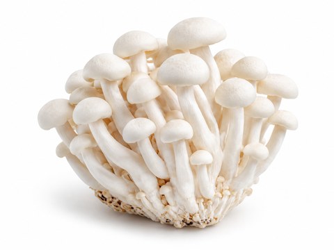 Mushrooms Shimeji White — illustrative vegetable image
