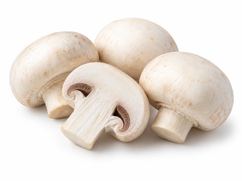 Mushrooms White Button — illustrative vegetable image