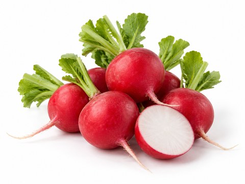Radishes — illustrative vegetable image