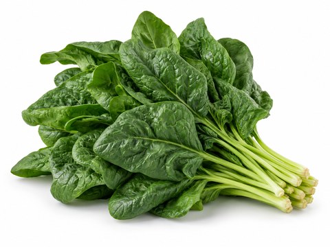 Spinach — illustrative vegetable image