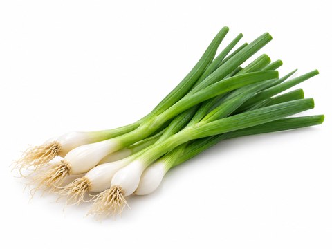 Spring Onions — illustrative vegetable image