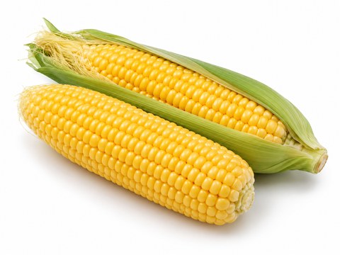 Sweet Corn — illustrative vegetable image